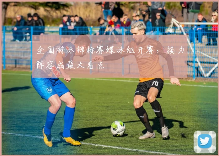 全国游泳锦标赛蝶泳组开赛,接力阵容成最大看点 - 万彩官网官网入口推荐