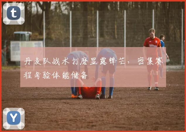 丹麦队战术打磨显露锋芒，密集赛程考验体能储备 - 万彩官网官网入口推荐